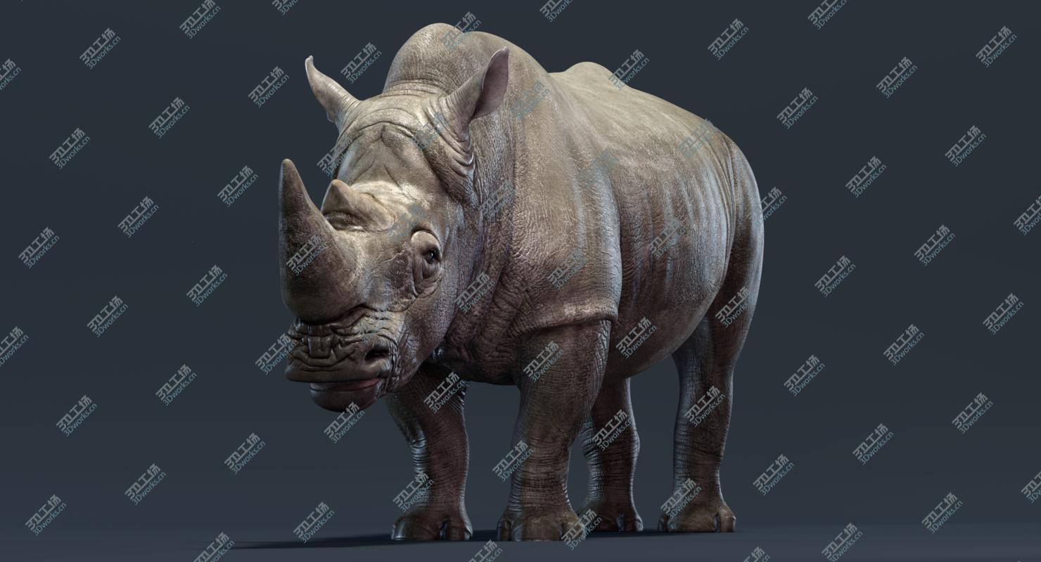 images/goods_img/20210319/3D Rhino/1.jpg